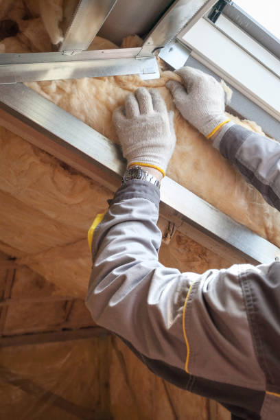 Best Commercial Insulation in Todd Creek, CO
