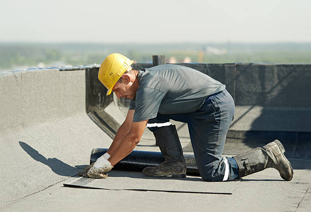 Best Insulation Maintenance and Repair in Todd Creek, CO