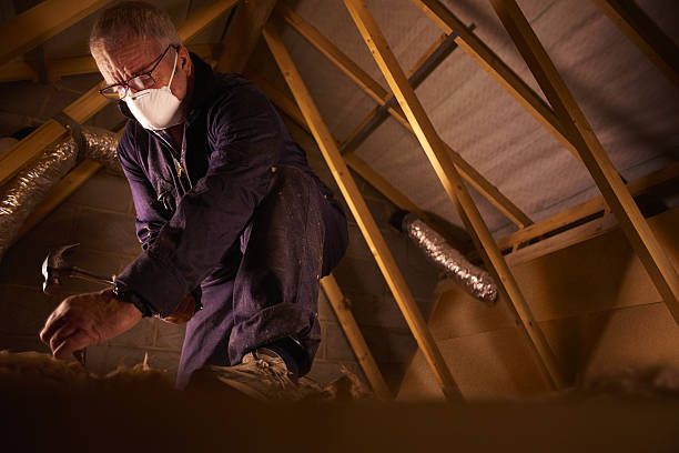 Types of Insulation We Offer in Todd Creek, CO